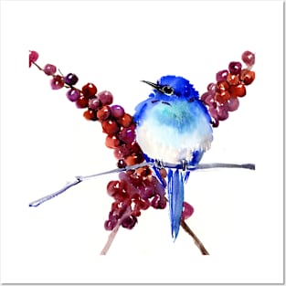 Mountains Bluebird and Berries Posters and Art